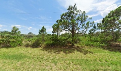 Beach Lot For Sale in Port Charlotte, Florida