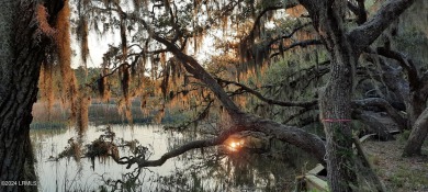 Beach Lot For Sale in Beaufort, South Carolina