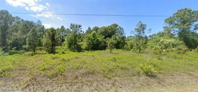 Beach Lot For Sale in Lehigh Acres, Florida