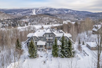 Condo For Sale in Mont-Tremblant image photo picture