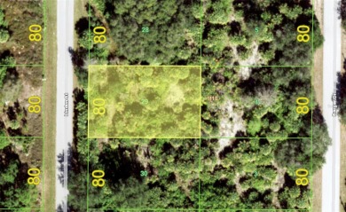 Beach Lot For Sale in Port Charlotte, Florida