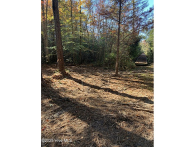 Beach Lot For Sale in Edenton, North Carolina