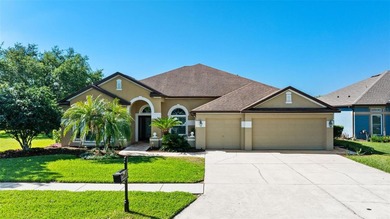 Beach Home For Sale in Land O Lakes, Florida