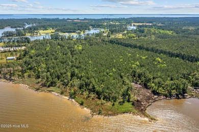 Beach Acreage For Sale in Belhaven, North Carolina