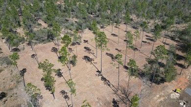 Beach Lot For Sale in Elberta, Alabama