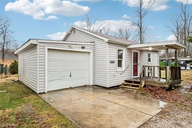 Beach Home For Sale in Ashtabula, Ohio