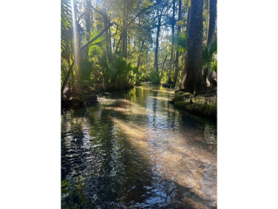 Beach Home For Sale in Steinhatchee, Florida