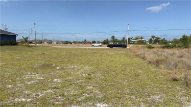 Beach Lot For Sale in Lehigh Acres, Florida