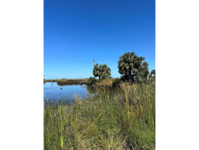 Beach Lot For Sale in Suwannee, Florida