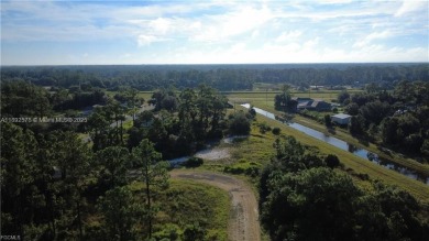 Beach Acreage For Sale in Lehigh Acres, Florida