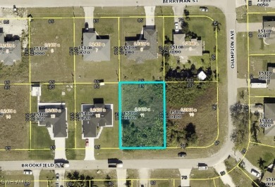 Beach Lot For Sale in Lehigh Acres, Florida