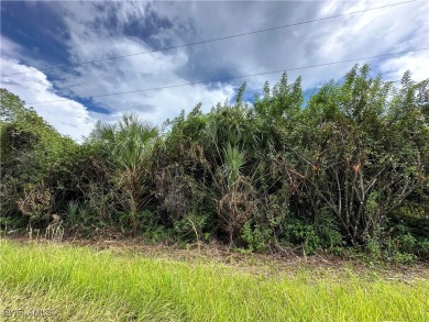 Beach Lot For Sale in Lehigh Acres, Florida