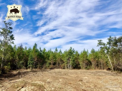 Beach Acreage For Sale in Pace, Florida