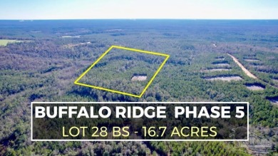 Beach Acreage For Sale in Pace, Florida