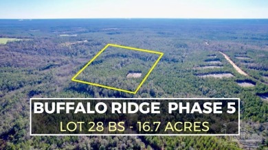 Beach Acreage Off Market in Pace, Florida