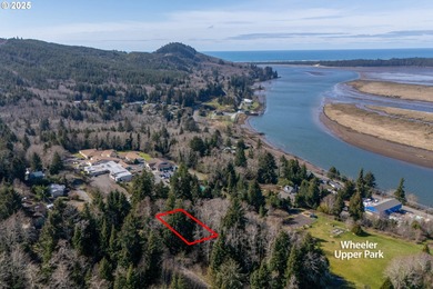 Beach Lot For Sale in Wheeler, Oregon