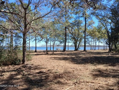 Beach Acreage For Sale in Bayboro, North Carolina