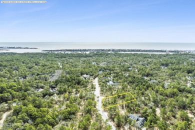 Beach Lot For Sale in Supply, North Carolina