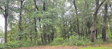 Beach Lot Sale Pending in Beaufort, South Carolina