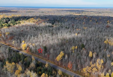 Beach Acreage Active Under Contract in Ontonagon, Michigan