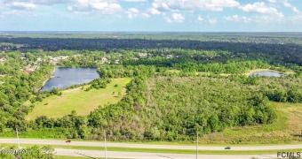 Beach Acreage Off Market in Bunnell, Florida