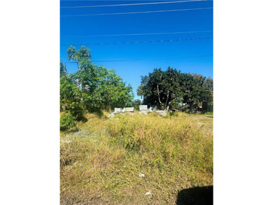 Beach Lot For Sale in Vero Beach, Florida