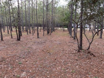 Beach Lot Off Market in Ocean Isle Beach, North Carolina