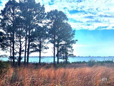 Beach Acreage For Sale in Gulf Shores, Alabama