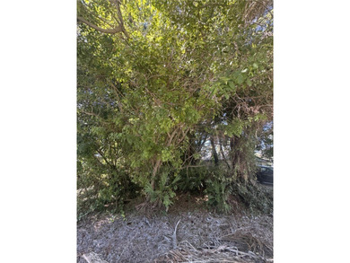 Beach Lot For Sale in Vero Beach, Florida