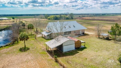 Beach Home For Sale in Elberta, Alabama