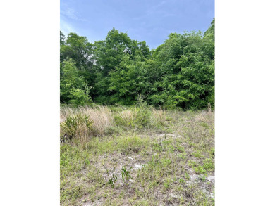 Beach Lot For Sale in Lanark Village, Florida