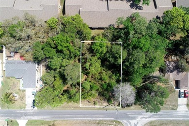 Beach Lot For Sale in Spring Hill, Florida