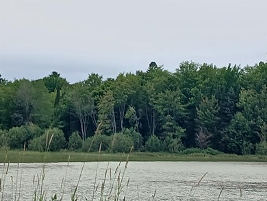 Beach Acreage For Sale in Lake Linden, Michigan