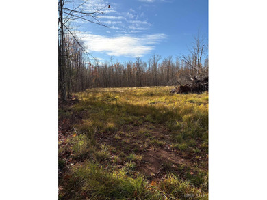 Beach Acreage Active Under Contract in Ontonagon, Michigan