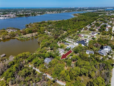 Beach Lot Sale Pending in Seminole, Florida