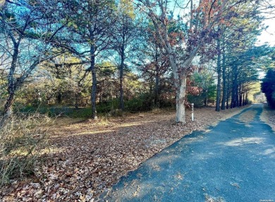 Beach Lot For Sale in Southampton, New York
