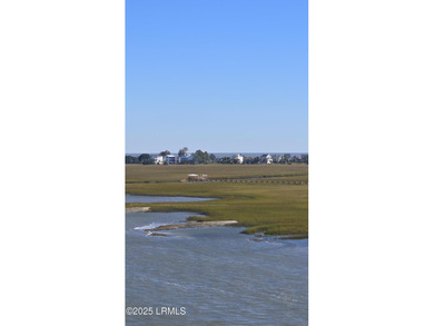 Beach Lot For Sale in Saint Helena Island, South Carolina