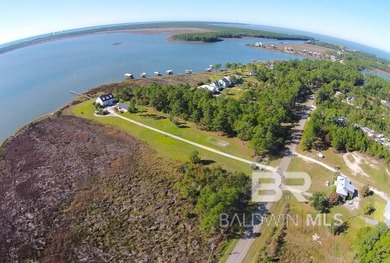 Beach Acreage For Sale in Gulf Shores, Alabama
