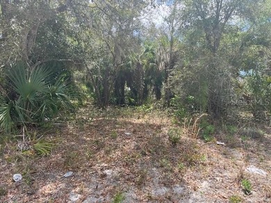 Beach Lot For Sale in North Port, Florida