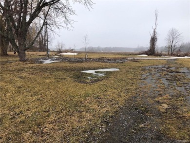 Beach Home Off Market in Lyndonville, New York