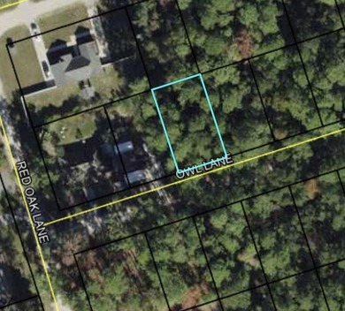 Beach Lot For Sale in Crawfordville, Florida
