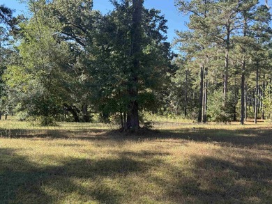 Beach Lot For Sale in Tallahassee, Florida