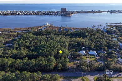 Beach Lot For Sale in Gulf Shores, Alabama