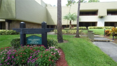 Beach Condo For Sale in Palm Harbor, Florida