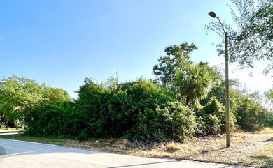 Beach Lot Active Under Contract in Vero Beach, Florida