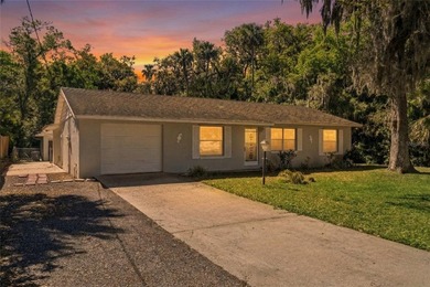 Beach Home For Sale in New Smyrna Beach, Florida