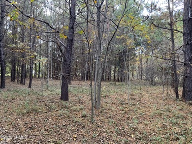 Beach Lot Sale Pending in Saint Helena Island, South Carolina