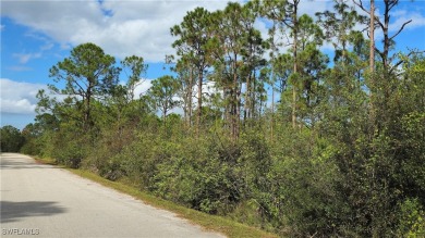 Beach Lot For Sale in Punta Gorda, Florida