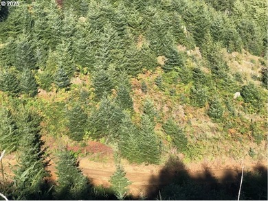 Beach Acreage For Sale in Seaside, Oregon