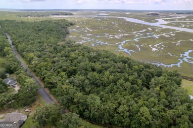 Beach Acreage For Sale in Woodbine, Georgia